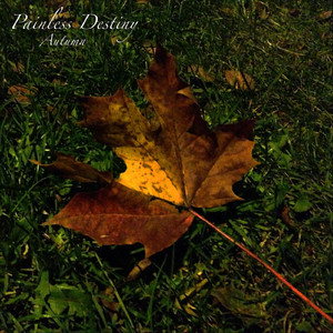 性饥渴老太满足了我
